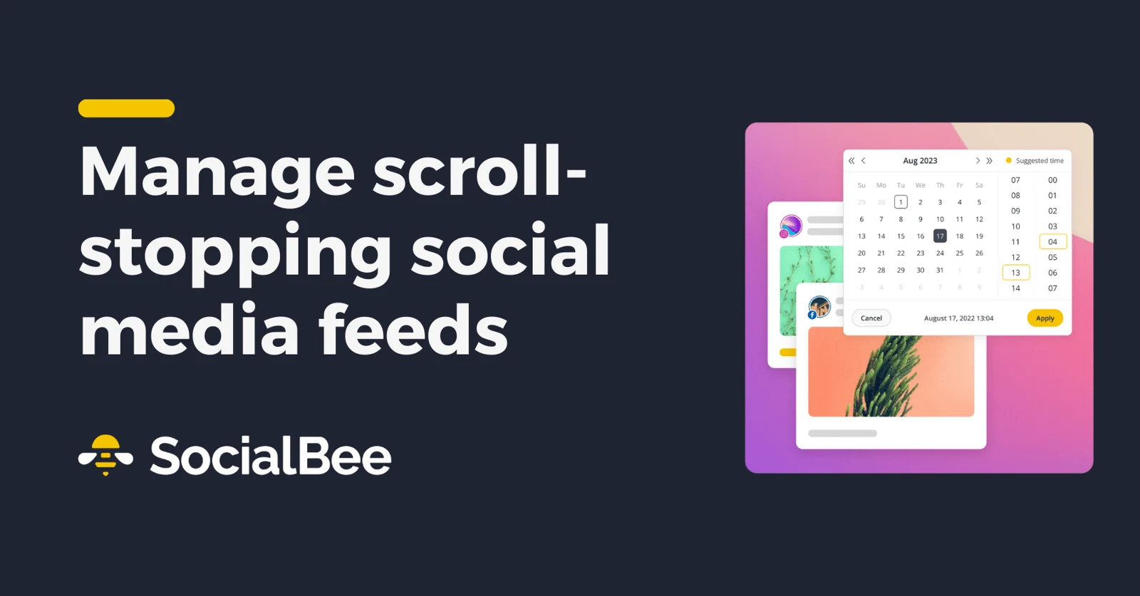 SocialBee, aperçu 1