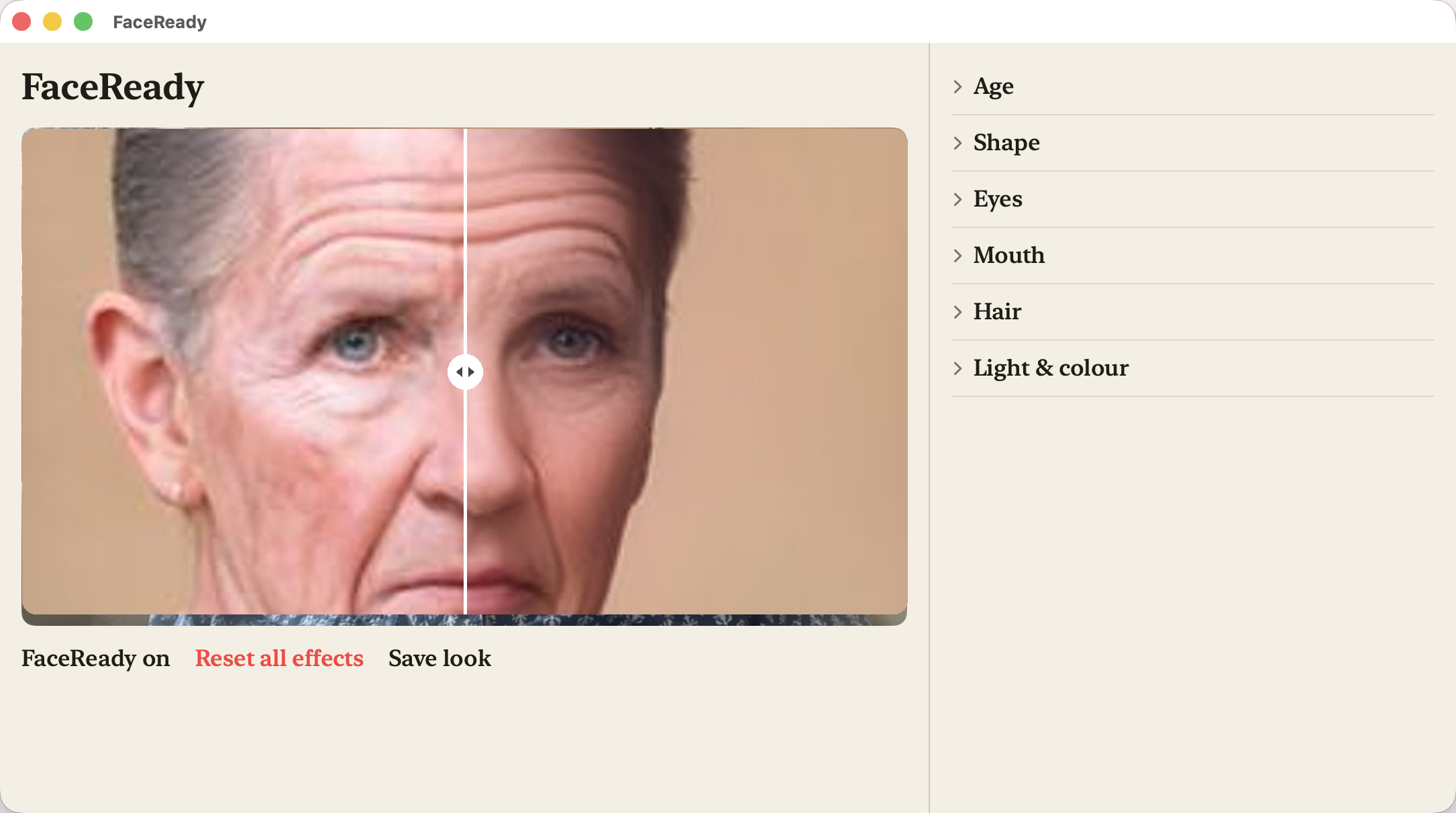 FaceReady, aperçu 2